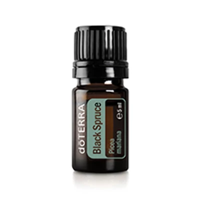 doTERRA Black Spruce / Fekete lucfenyő / Picea mariana