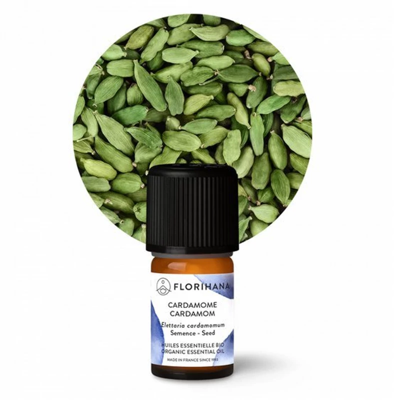 KARDAMOM BIO / Cardamom / Elettaria kardamomum (5,44 ml)