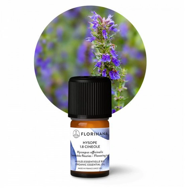 IZSÓP 1,8 CINEOLE / HYSSOPUS OFFICINALIS BIO 5,56 ml