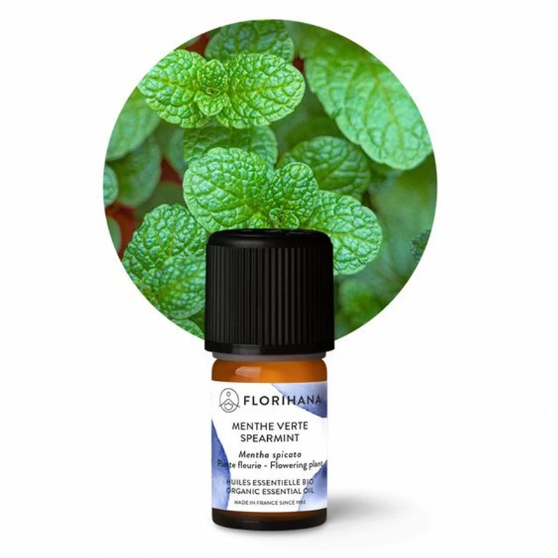 FODORMENTA / MENTHA SPICATA BIO 18,29ml
