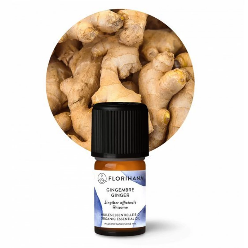 GYÖMBÉR / ZINGIBER OFFICINALE BIO 5,73 ml