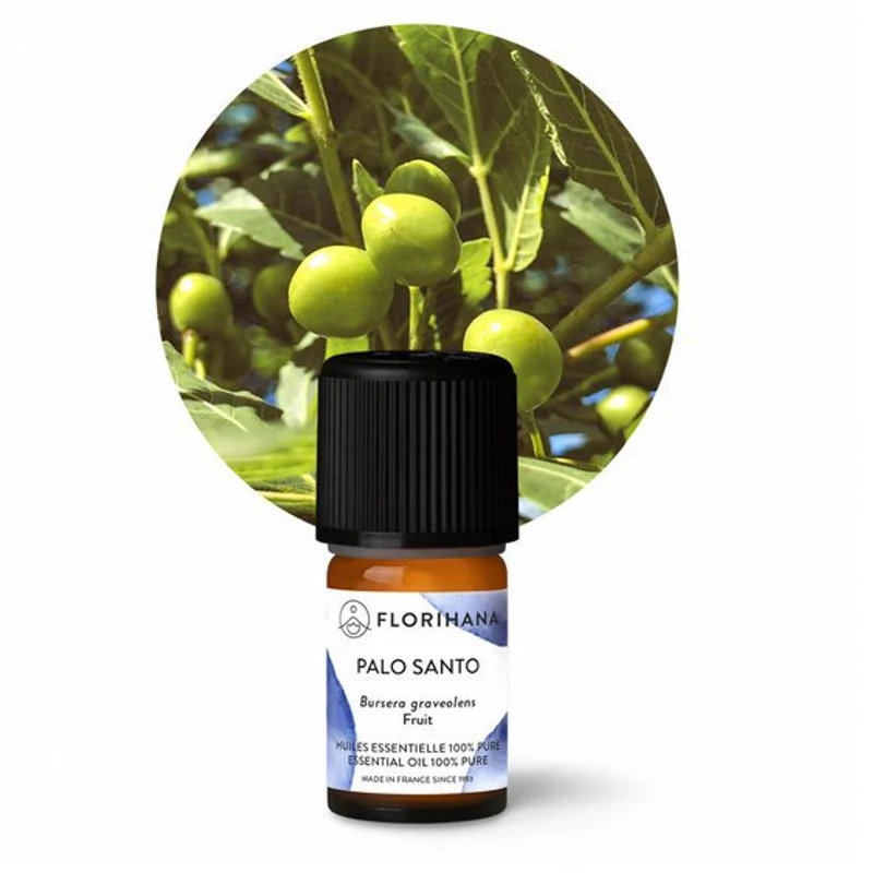 PALO SANTO / BURSERA GRAVEOLENS