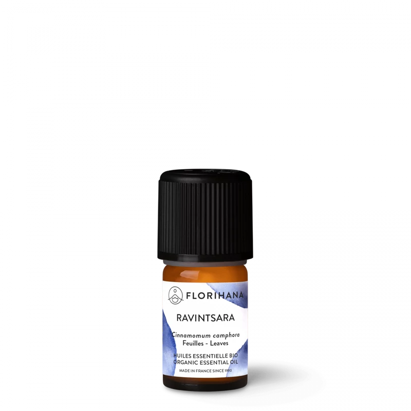Madagaszkári kámforfa/ Ravintsara / Cinnamomum camphora 16,67 ml
