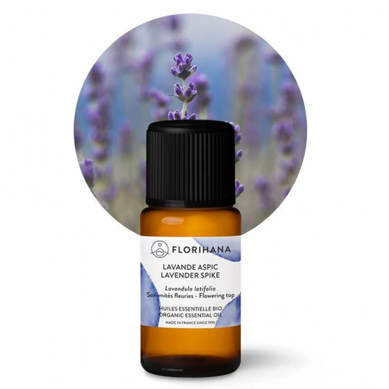 VADLEVENDULA / LAVENDER SPIKE/ LAVANDULA LATIFOLIA BIO 16,78 ml