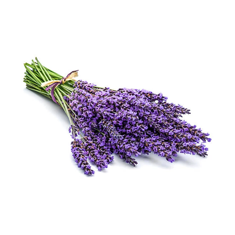 Orvosi levendula aromavíz - Lavandula angustifolia 1000 ml