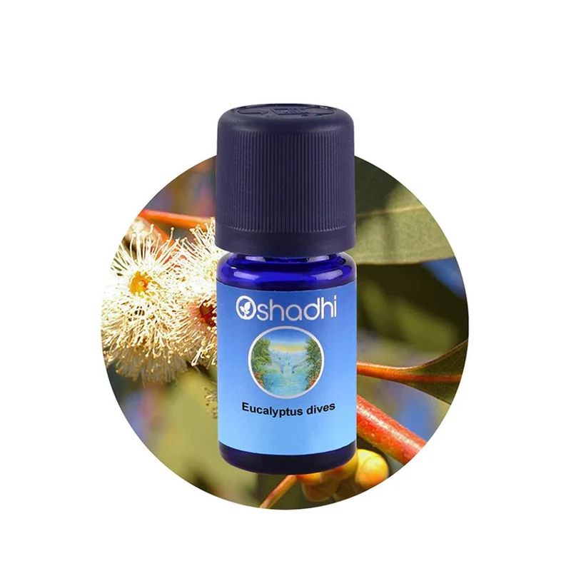 MENTOLOS EUKALIPTUSZ VAD / EUCALYPTUS DIVES Oshadhi 5 ml